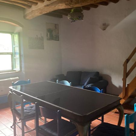 Agriturismo Le Colline Montescudaio Ngoại thất bức ảnh