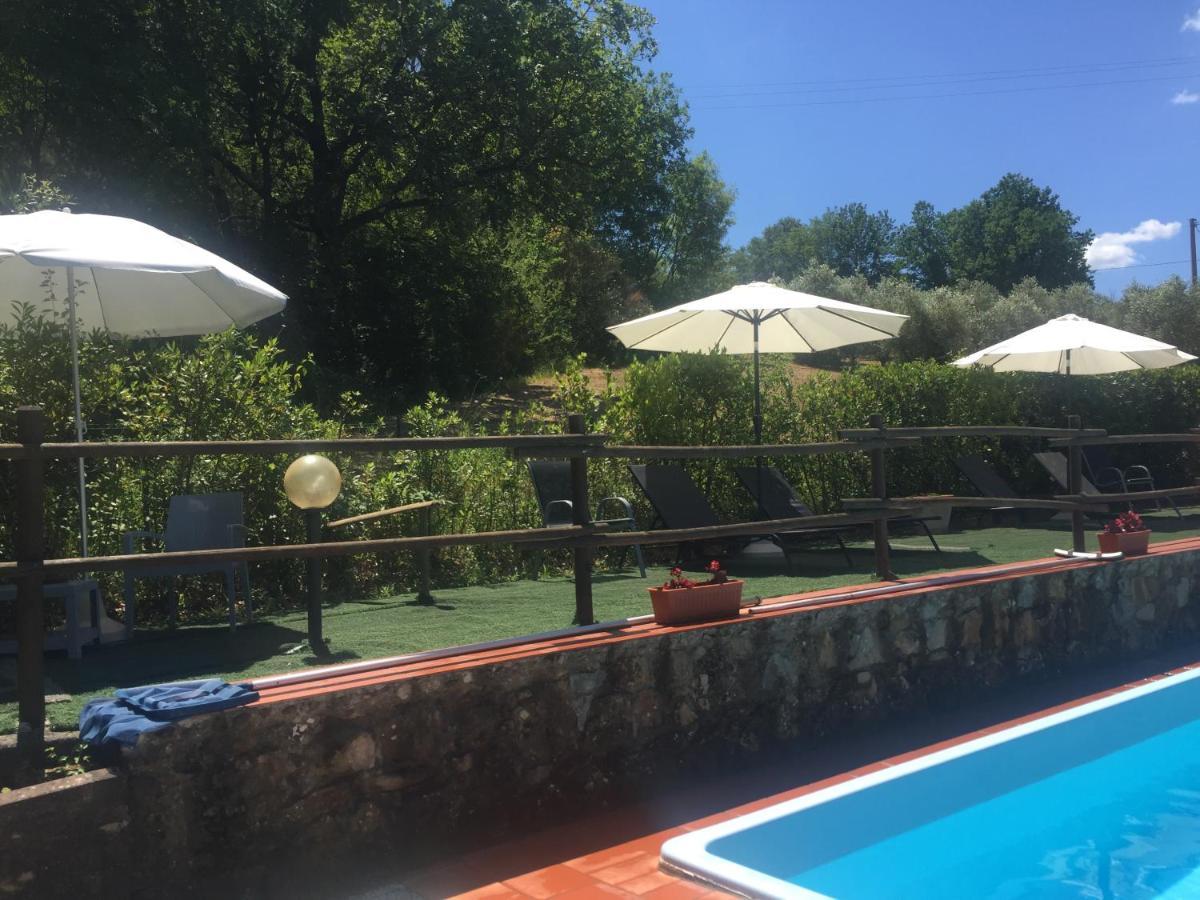 Agriturismo Le Colline Montescudaio Ngoại thất bức ảnh