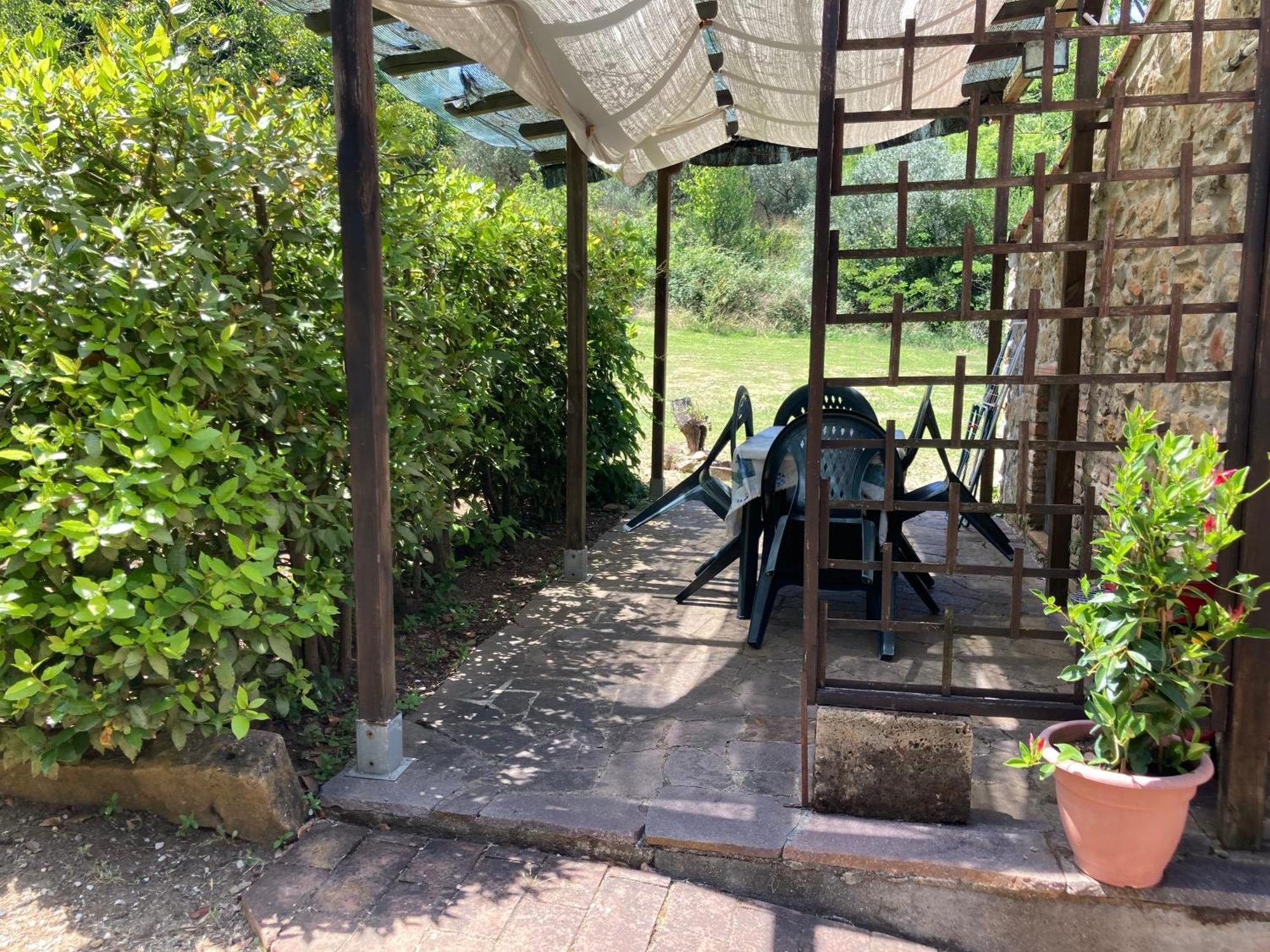Agriturismo Le Colline Montescudaio Ngoại thất bức ảnh