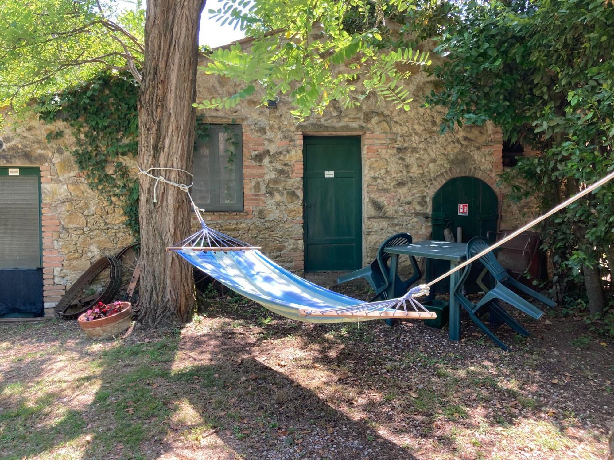 Agriturismo Le Colline Montescudaio Ngoại thất bức ảnh