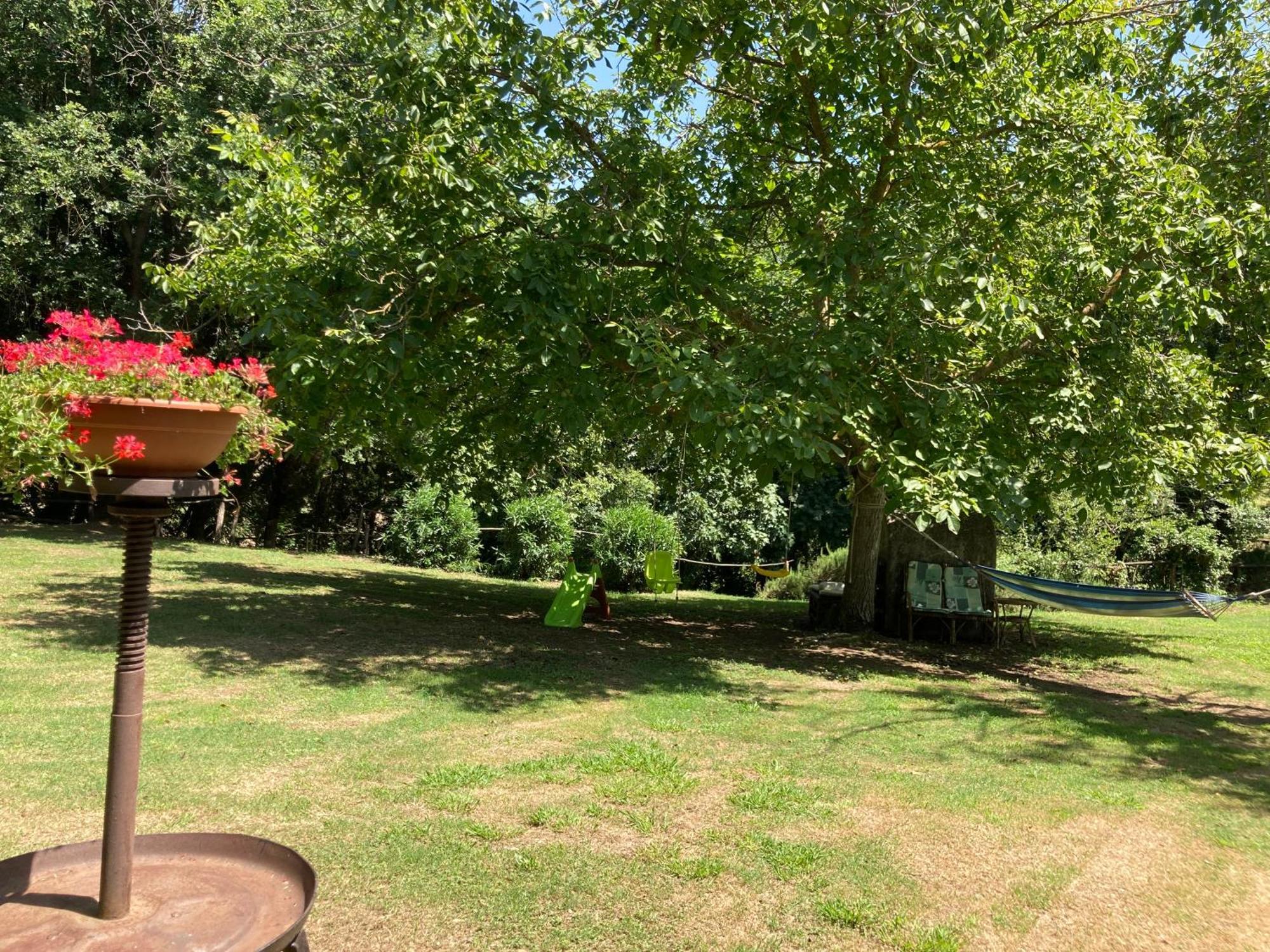 Agriturismo Le Colline Montescudaio Ngoại thất bức ảnh
