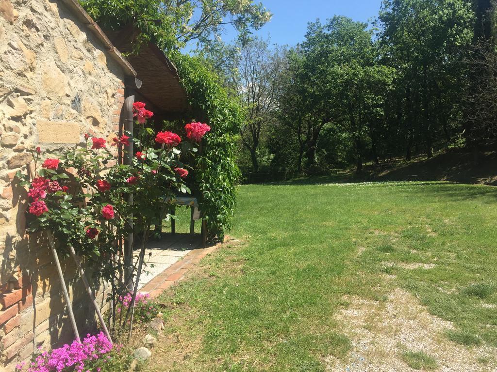 Agriturismo Le Colline Montescudaio Ngoại thất bức ảnh