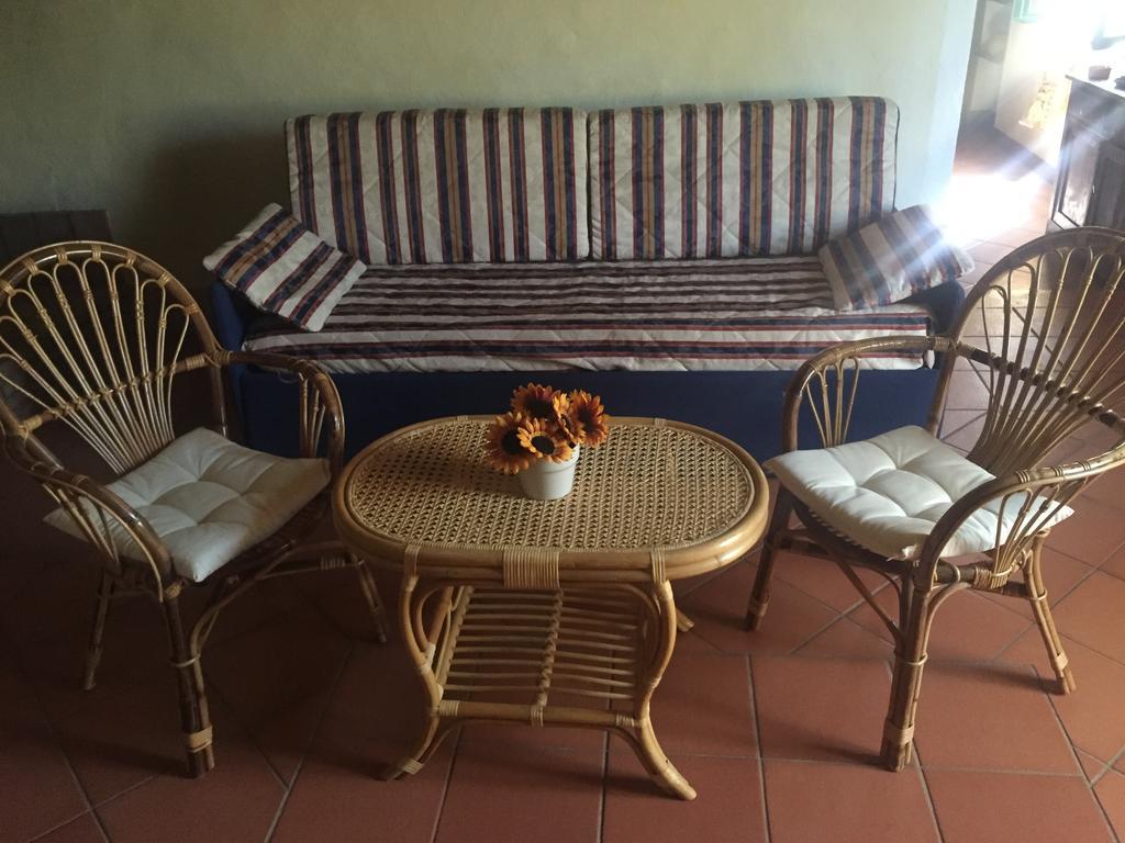 Agriturismo Le Colline Montescudaio Ngoại thất bức ảnh